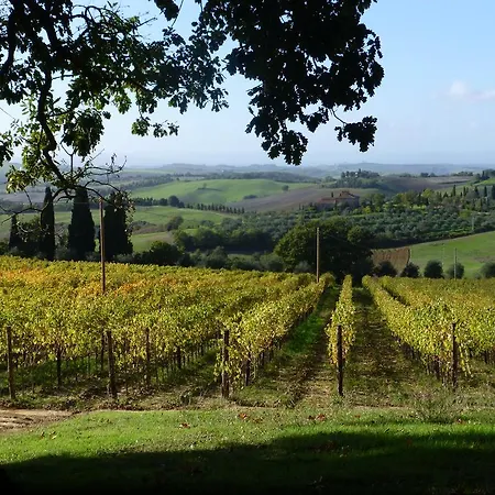 Fattoria Del Colle * טרקוונדה