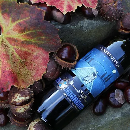 בית חווה Fattoria Del Colle